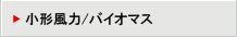 小形風力/バイオマス